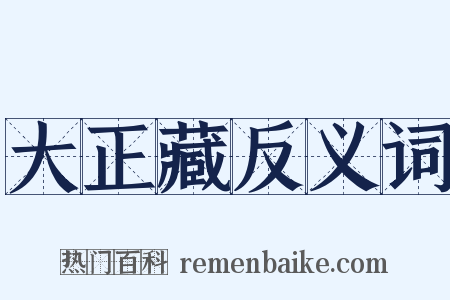 大正藏反义词是什么意思的图片